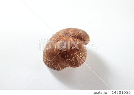 しいたけ 14201050