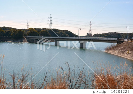 佐布里池梅林 14201222