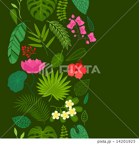 Seamless pattern with tropical plants, leaves and flowers. 14201925
