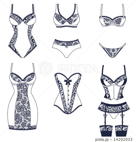 Fashion Female Lingerie With Vintage Lace のイラスト素材 1433