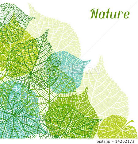 Background of stylized green leaves. 14202173