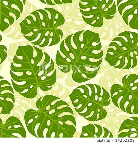 Seamless tropical pattern with stylized monstera leaves. 14202208