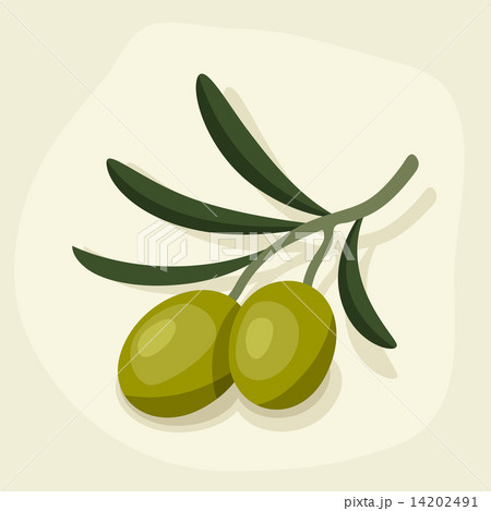 Stylized vector illustration of fresh ripe olive branch. 14202491
