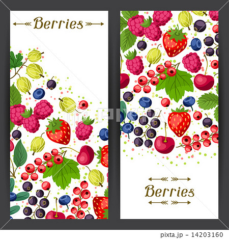 Nature banners design with berries. 14203160