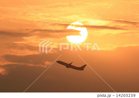 朝の離陸機 朝の離陸機 14203239