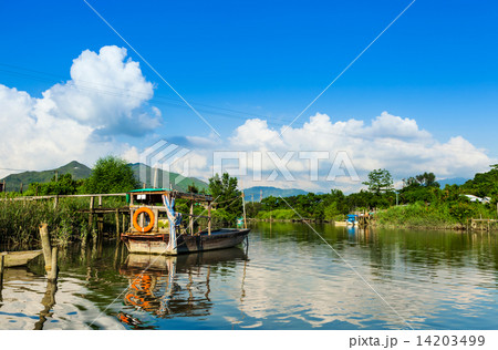 Wetland and sunshine 14203499