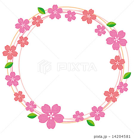 桜 花 フレーム 枠のイラスト素材