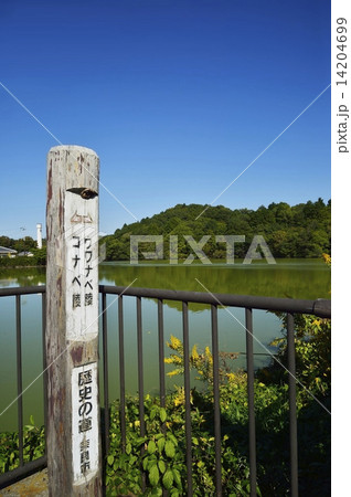 ウワナベ古墳 ウワナベ古墳 14204699