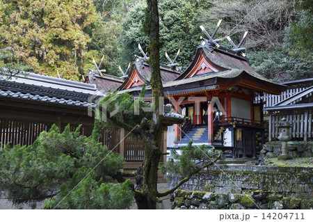 河内国一宮　枚岡神社 14204711