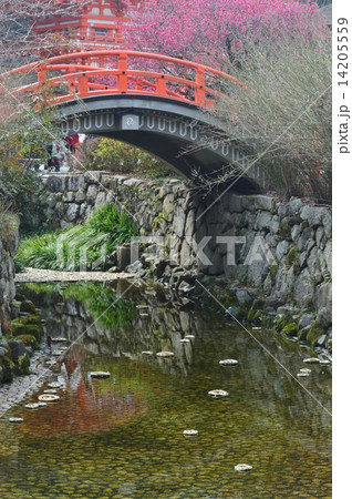 下鴨神社の流し雛 下鴨神社の流し雛 14205559