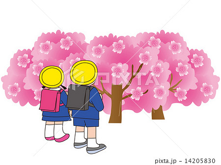 桜とランドセル姿の小学生 14205830