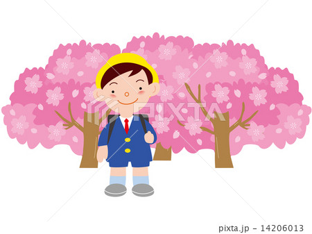 満開の桜と男の子 14206013
