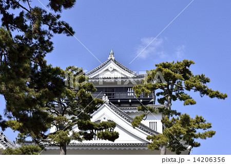 岡崎城 14206356