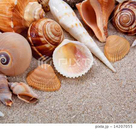 Pearl and sand 14207055