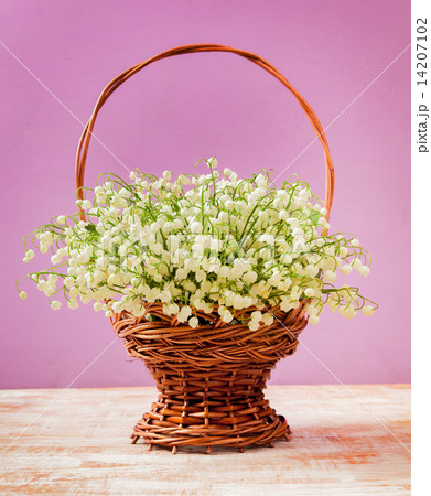 Flowers lily of the valley on the old boards. 14207102