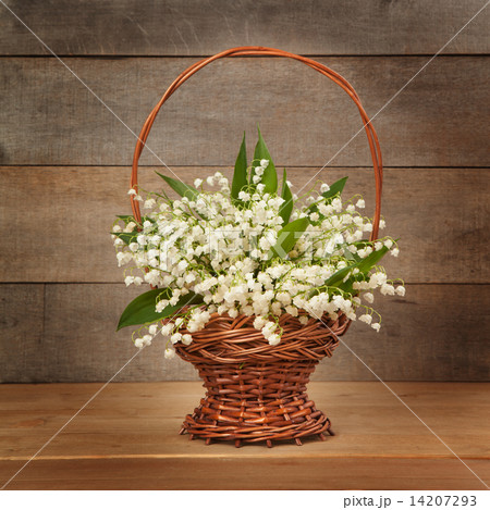 Beautiful lily of the valley in a basket Beautiful lily of the valley in a basket 14207293