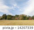 落柿舎 14207339