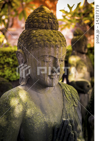Old statue. Old statue. 14207379