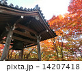 秋の寺 14207418
