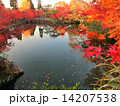 紅葉の池庭 14207538