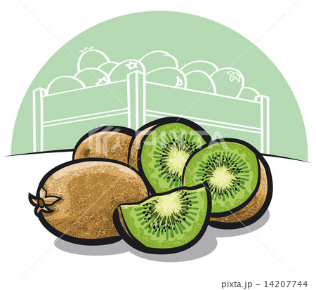 Kiwi fruit Kiwi fruit 14207744