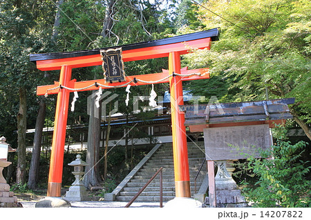 京都府京都市西京区にある松尾大社摂社の月読神社 14207822