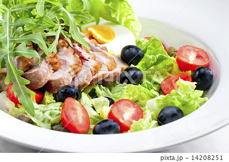 vegetable salad with fried duck breast slices and egg 14208251