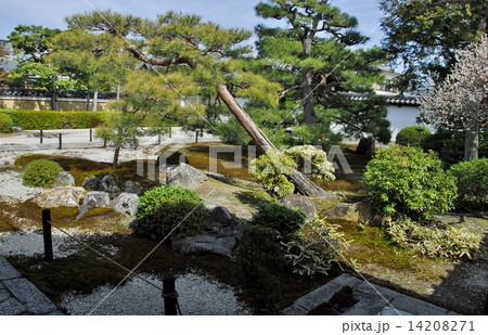京都慈照院の庭園風景 京都慈照院の庭園風景 14208271