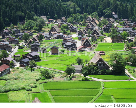 岐阜県 白川郷合掌造り集落 城跡展望台からの風景 世界遺産 岐阜県 白川郷合掌造り集落 城跡展望台からの風景 世界遺産 14208558
