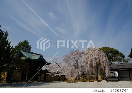 高台寺３ 14208744