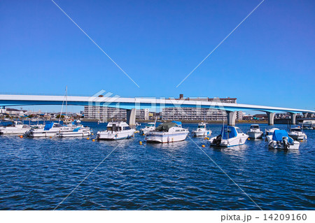 金沢区の平潟湾の風景 14209160