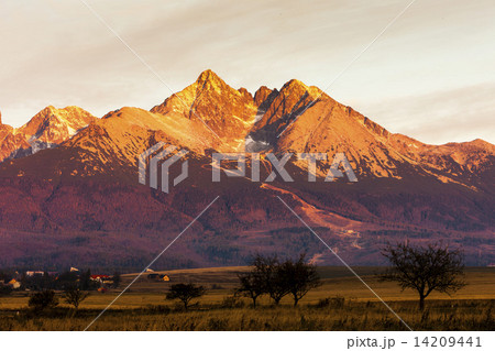 surroundings of Lomnicky Peak, Vysoke Tatry (High Tatras), Slova 14209441