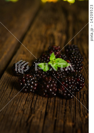 Sweet fresh  blackberry in the wood bawl 14209523