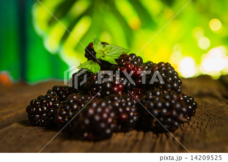 Sweet fresh blackberry in the wood bawl Sweet fresh blackberry in the wood bawl 14209525