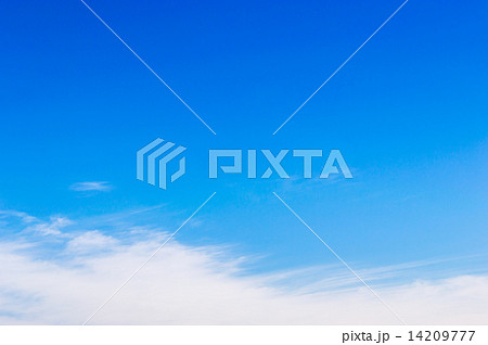 ブルースカイ 14209777