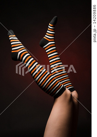 Pretty legs in  a long multi-colored socks 14209886