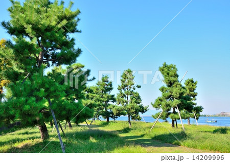 なぎさ公園 14209996
