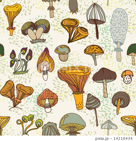 Seamless vector pattern of different mushrooms. 14210434