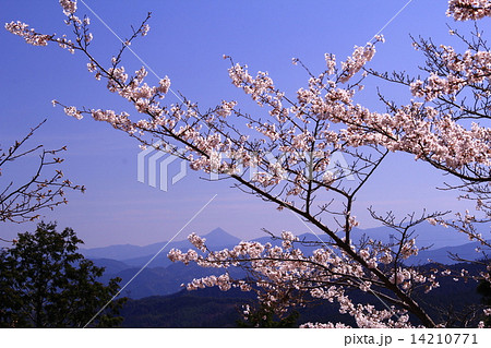 吉野山（奈良）から見る高見山 14210771