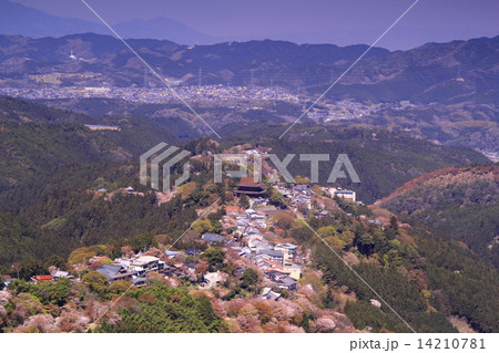 花矢倉展望台 奈良県 吉野山 より蔵王堂から見る桜並木の写真素材