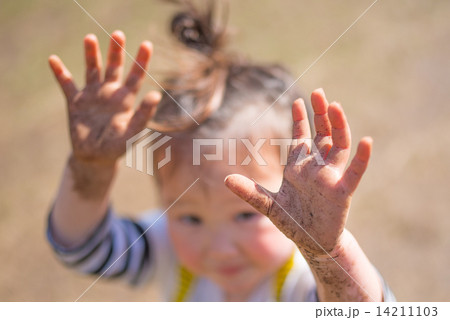 泥だらけになった少女の手 泥だらけになった少女の手 14211103