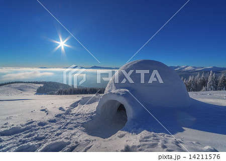 igloo igloo 14211576