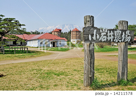 小岩井農場 14211578