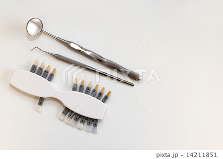 Plastic Dental implant to choose color tone of teeth 14211851