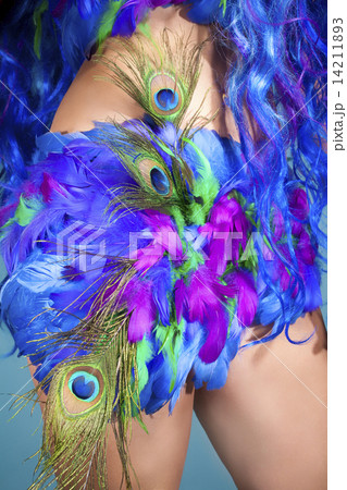 Female Dress Made of Feathers Female Dress Made of Feathers 14211893