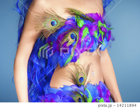 Female Dress Made of Feathers Female Dress Made of Feathers 14211894