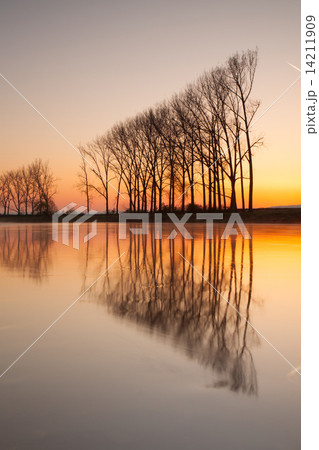 Symmetry on the river at sunrise Symmetry on the river at sunrise 14211909