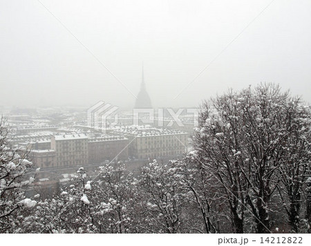 Turin view Turin view 14212822