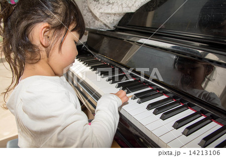 ピアノ　女の子 14213106