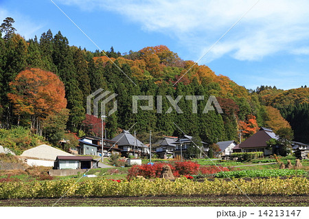 白馬村・山里の秋 白馬村・山里の秋 14213147